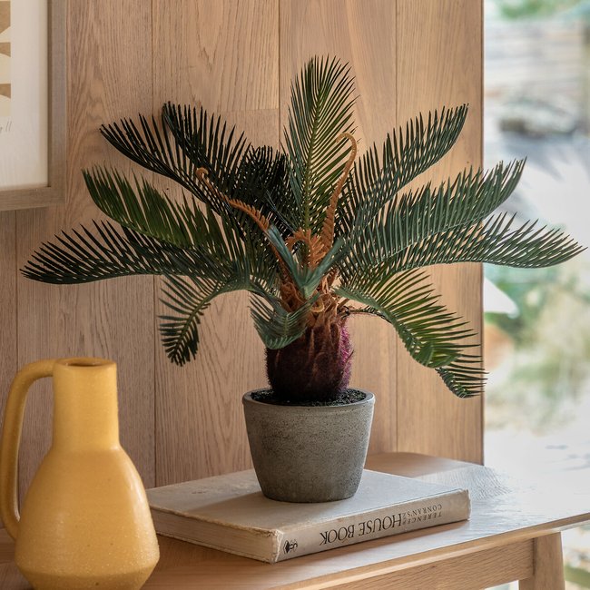 Wide Palm in Concrete Pot, natural, SO'HOME