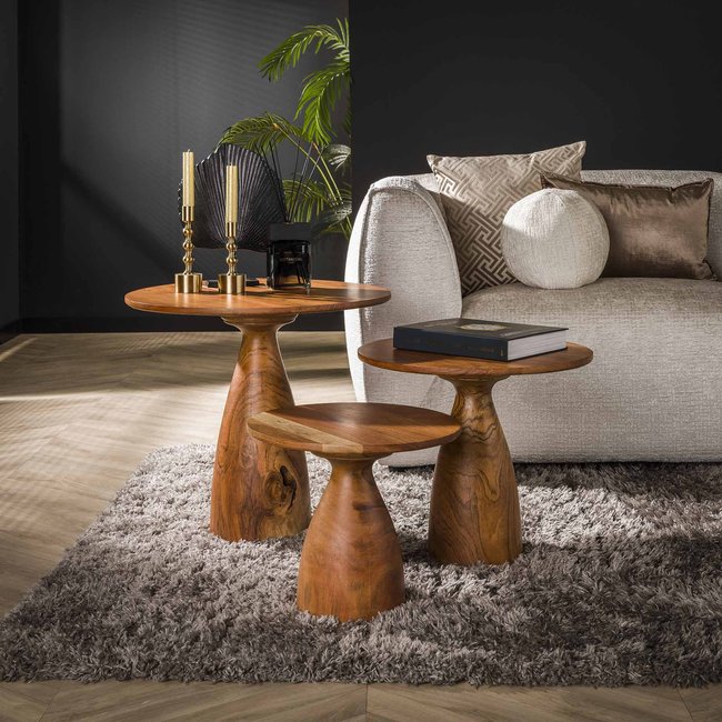 Table basse organique ronde en bois d'acacia massif (lot de 3) MELBOURNE Couleur bois naturel <span itemprop=