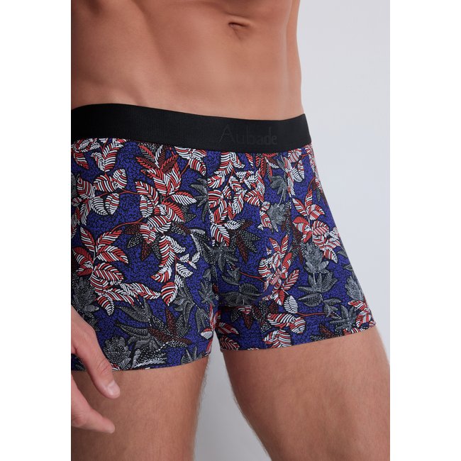 Boxer classique bleu <span itemprop=