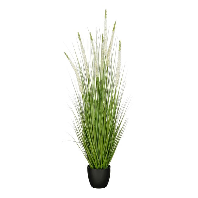 Plante artificielle ZIERGRAS Couleur blanc <span itemprop=