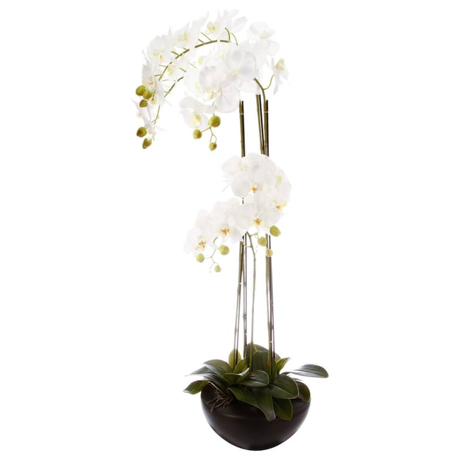 Orchidée artificielle Couleur blanc <span itemprop=