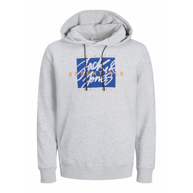 Sweat à logo à capuche gris chiné clair <span itemprop=