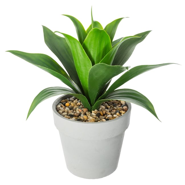 Aloé vera artificiel Couleur vert <span itemprop=