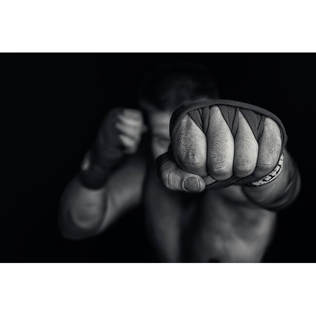 Tableau boxe left wing - HEXOA