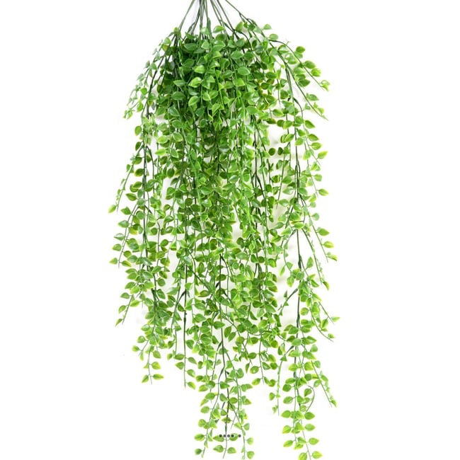 Superbe chute de callisia artificielle H 80 Couleur v002239 <span itemprop=