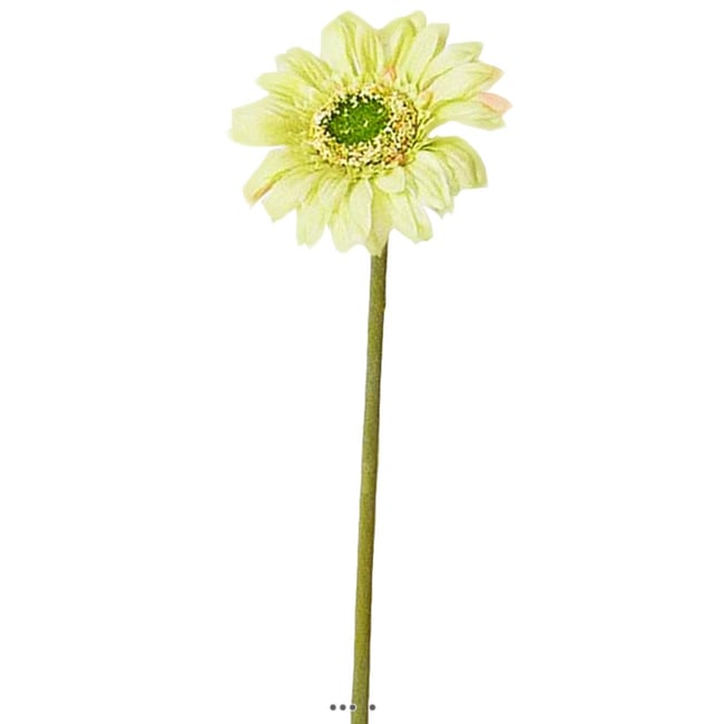 Gerbera artificiel H 48 cm D 8 cm superbe Crè Couleur crème vert <span itemprop=