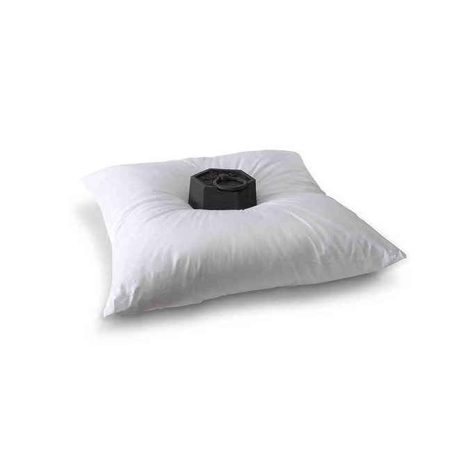 Oreiller grand confort Couleur blanc <span itemprop=