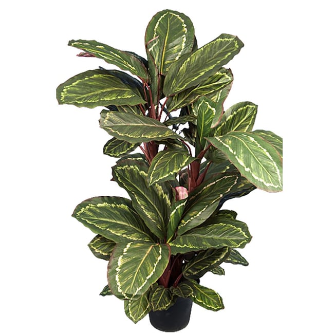 Maranta plante artificielle en pot H 104 cm Couleur vert <span itemprop=