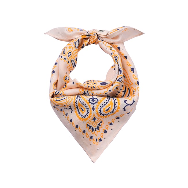 Petit foulard à motifs PAISLEY - WILD