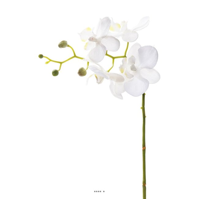 Orchidee Phalaenopsis Artificiel Blanc H 30 Couleur v002227 <span itemprop=