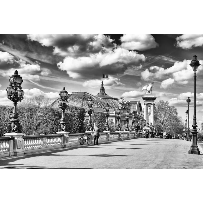 Tableau paris verrière du grand palais - HEXOA