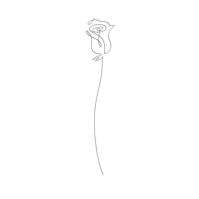 Tableau Bouton de rose croquis - HEXOA