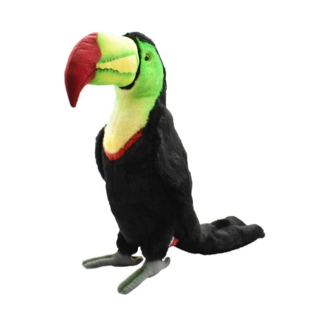 Peluche  Toucan - 33cm - ANIMA