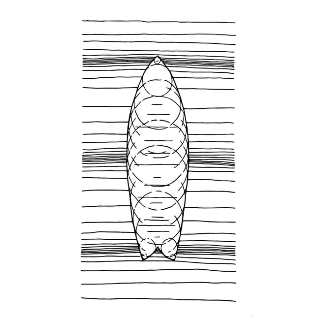 Tableau surf géo - HEXOA