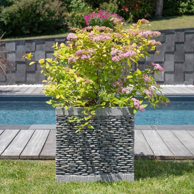 Pot bac jardinière jardin terrasse galet cube carré 50cm ZEN gris <span itemprop=