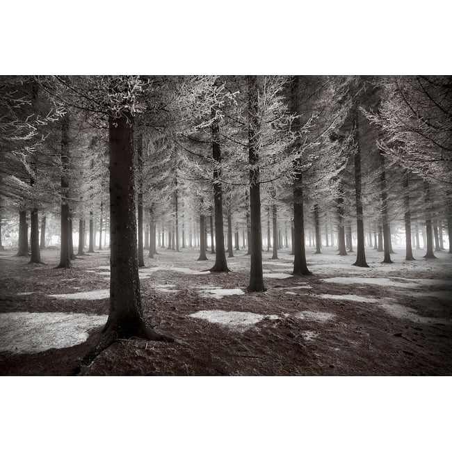 Tableau deco debut d'hiver - HEXOA