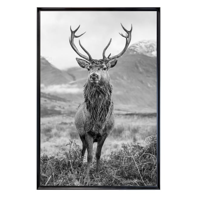 Tableau Mural Encadré Portrait Cerf Élégant ANIMAUX Couleur tableaux encadrés <span itemprop=
