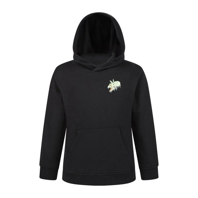 Sweat à capuche motif/style dinosaure dégoulinant noir <span itemprop=