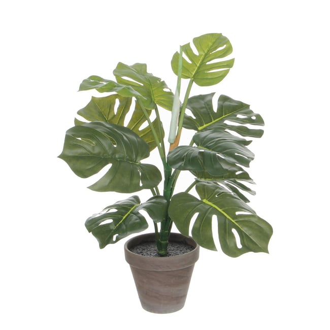 Plante artificielle MONSTERA Couleur vert <span itemprop=