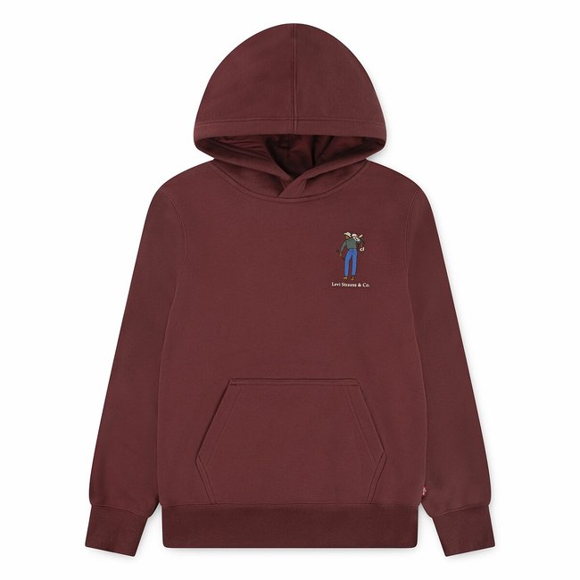 Chest Print Hoodie, burgundy, LEVI'S KIDS