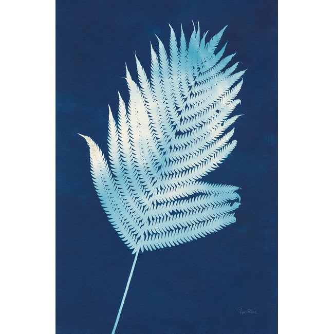 Tableau fleurs Fougère d'argent - HEXOA