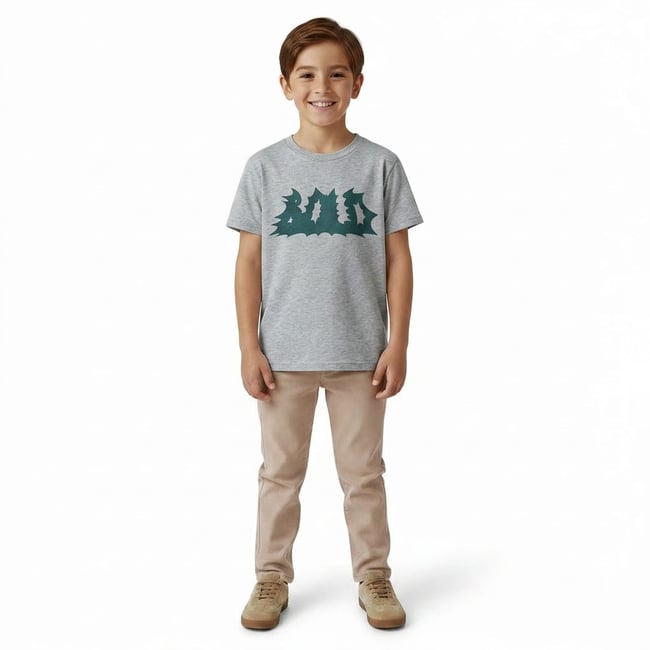 T-shirt  - Très bon état gris <span itemprop=