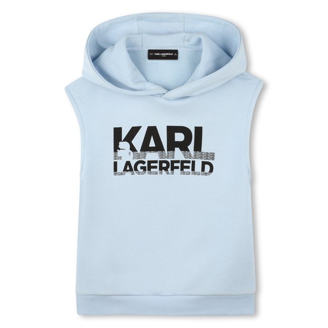 Sweat-shirt à capuche brume <span itemprop=