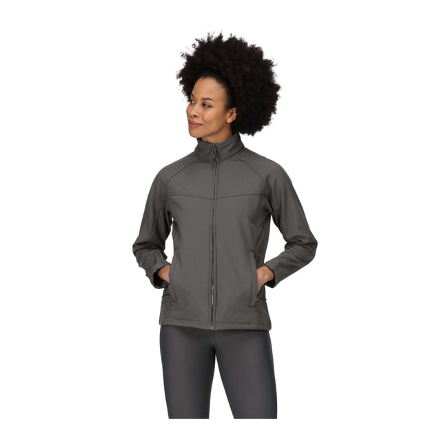 Veste coupe-vent UPROAR gris <span itemprop=