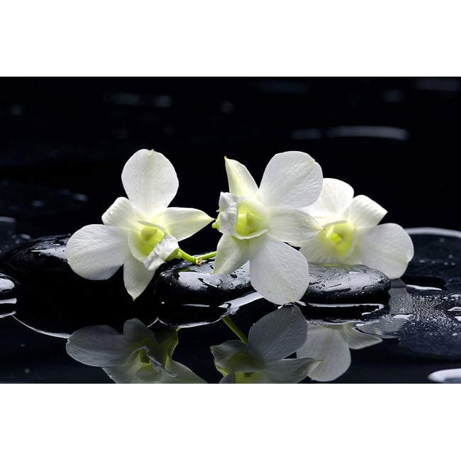 Tableau zen deco design orchidée blanche - HEXOA