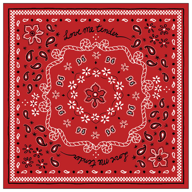 Lot de 20 serviettes papier bandana - OPJET