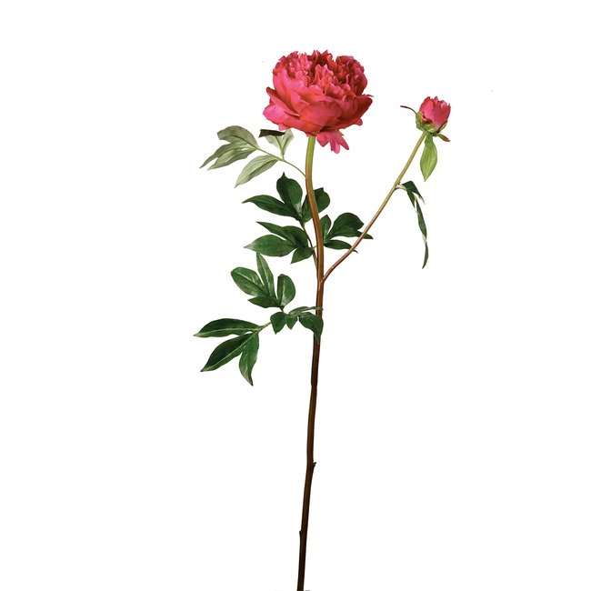 Tige de pivoine artificielle H85 Couleur fuchsia <span itemprop=