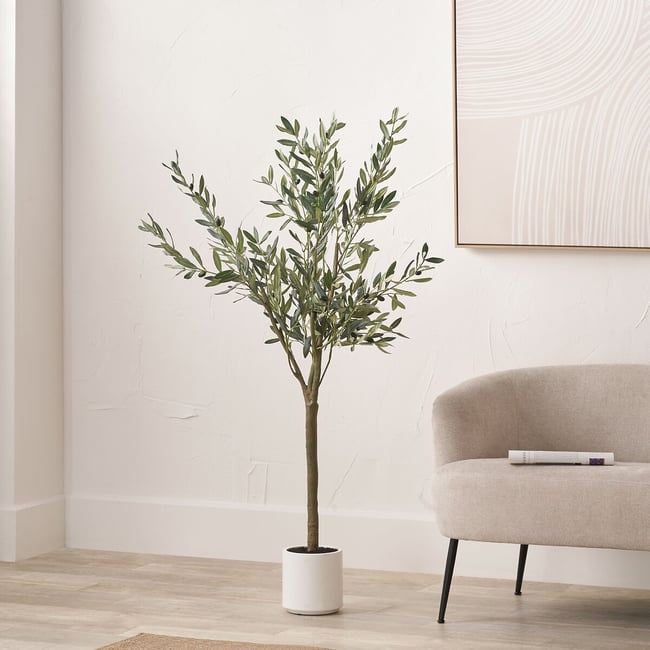 150cm Olive Tree in Pot, green, SO'HOME