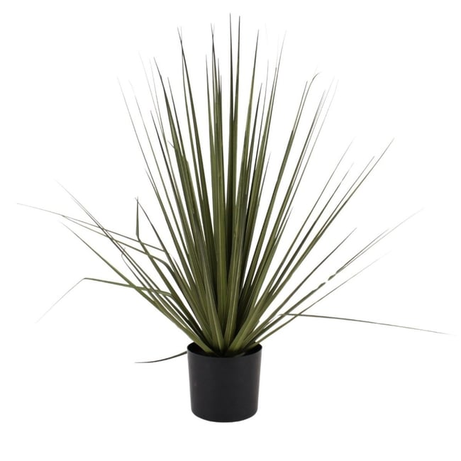 Plante artificielle asparaga 66cm Couleur vert <span itemprop=