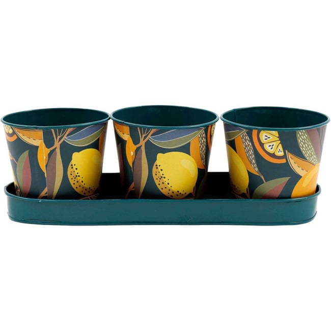 Set de 3 cache-pots en métal Citrus Couleur v019845 <span itemprop=