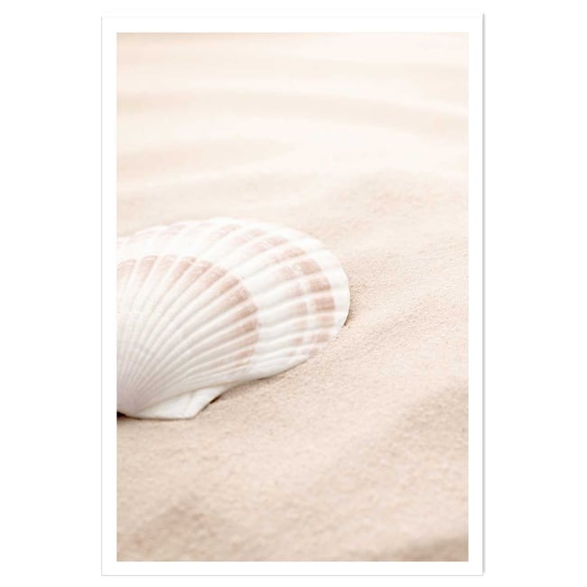 Poster coquillage - HEXOA