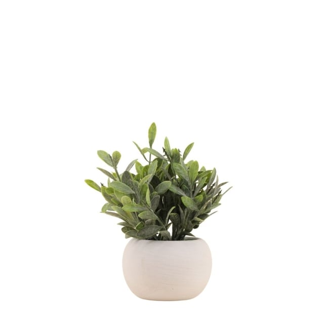 Plante artificielle pot ciment blanc 18cm Couleur blanc <span itemprop=