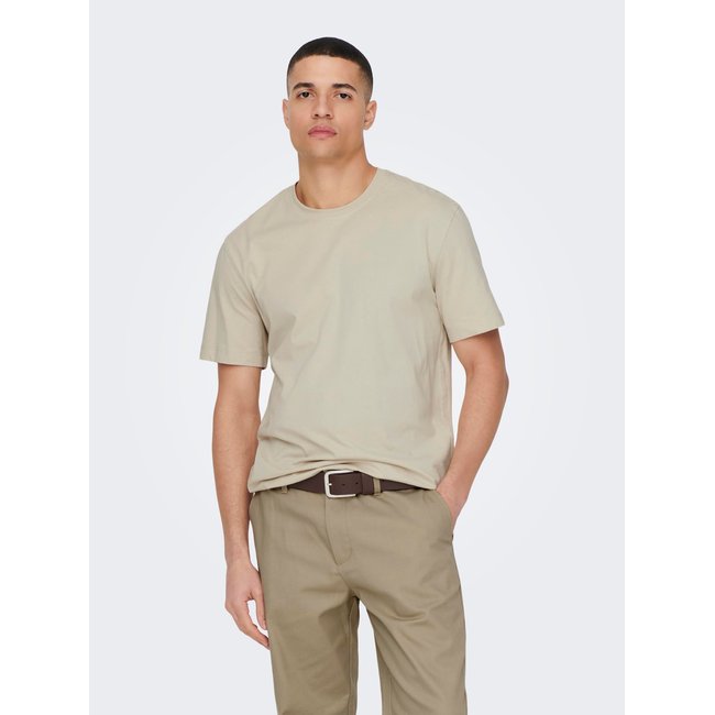 ONLY & SONS oversized T-shirt with Honshu back print in taupe