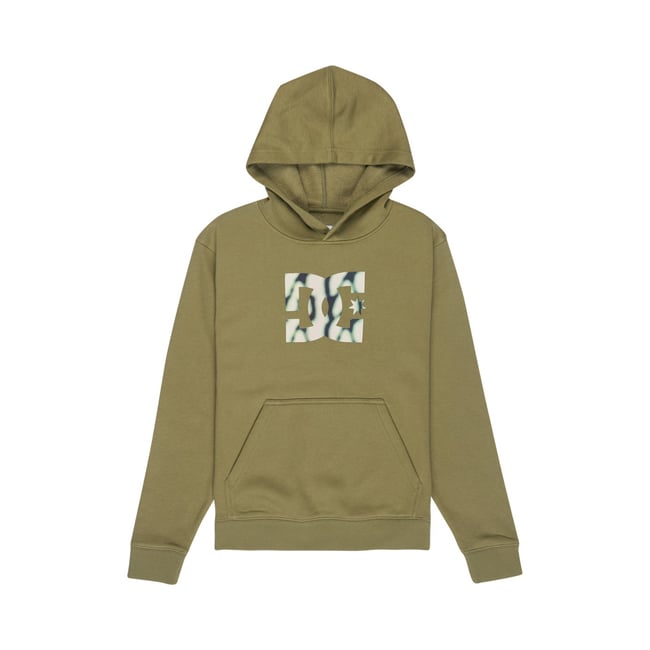 Sweat capuche. - DC SHOES