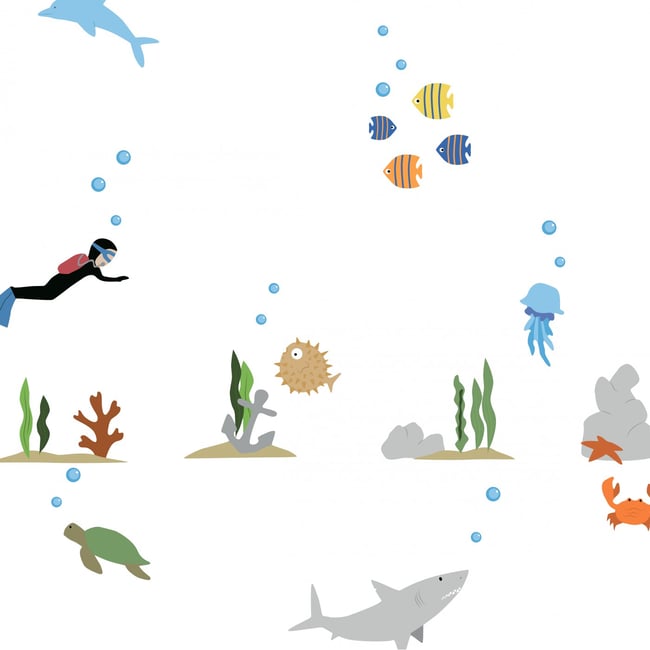 Sticker Mural Plongée sous Marine Couleur v019845 <span itemprop=