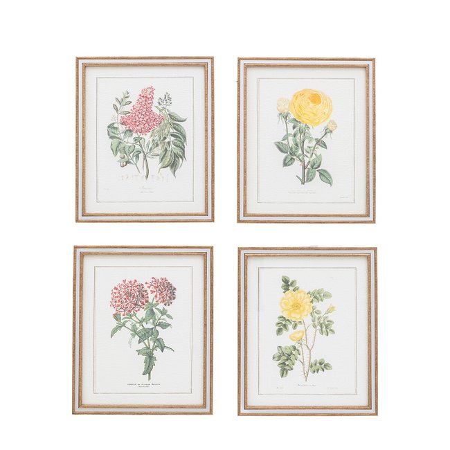 Set of 4 Floral Quartet Framed Art, green, ÉDITÉ
