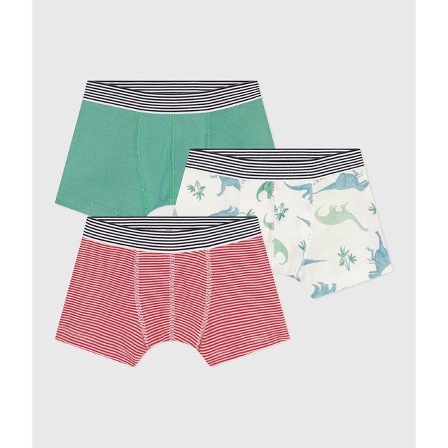 Pack of 3 Boxers in Cotton with Striped and Dinosaur Print, green + white, PETIT BATEAU