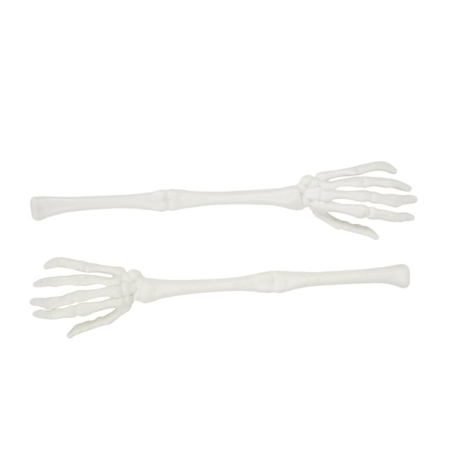 2 bras squelette Halloween - PARTY PRO
