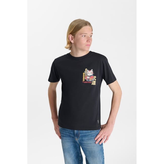 Tee-Shirt WILDERBO soot <span itemprop=