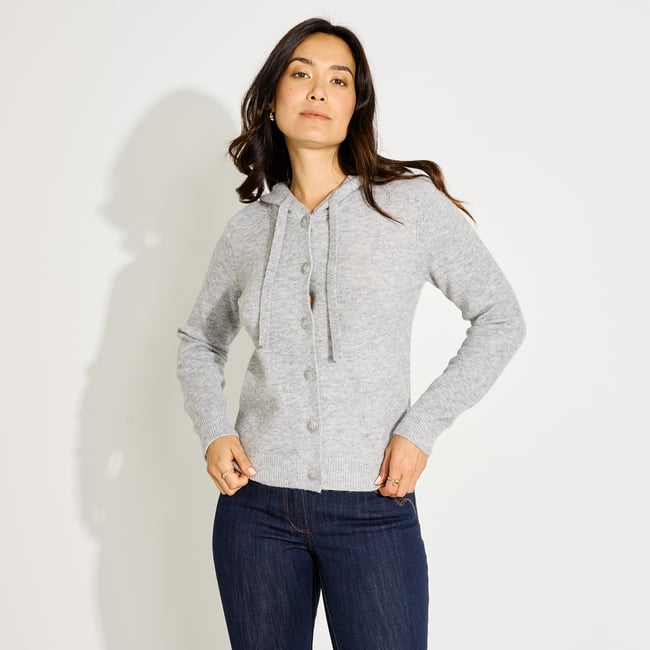 Gilet à capuche gris <span itemprop=