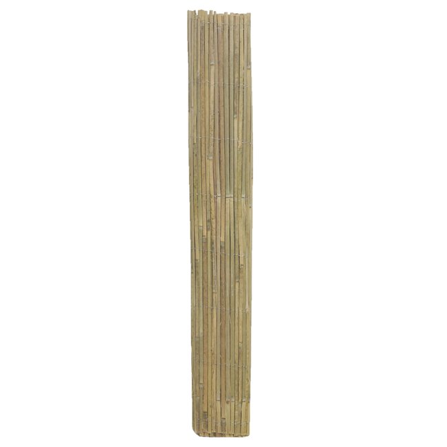 Canisse en bambou naturel - 1,5 x 5m [A l'unité] naturel <span itemprop=