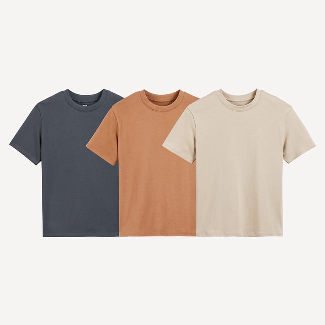 Lot de 3 T-shirts col rond marron + gris + beige <span itemprop=