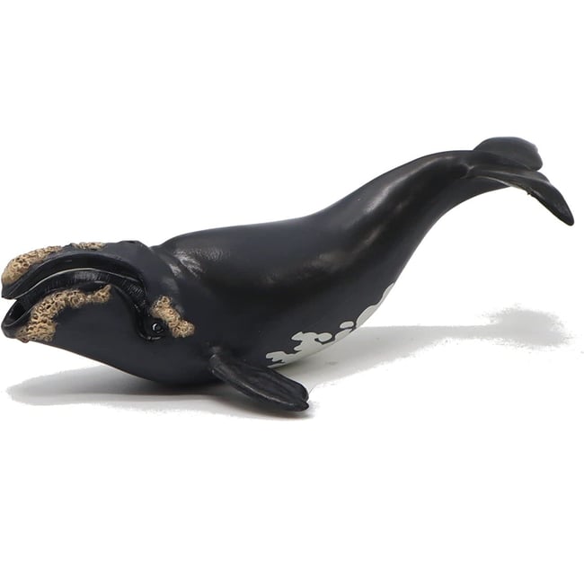 Figurine jeune baleine Franche noir <span itemprop=