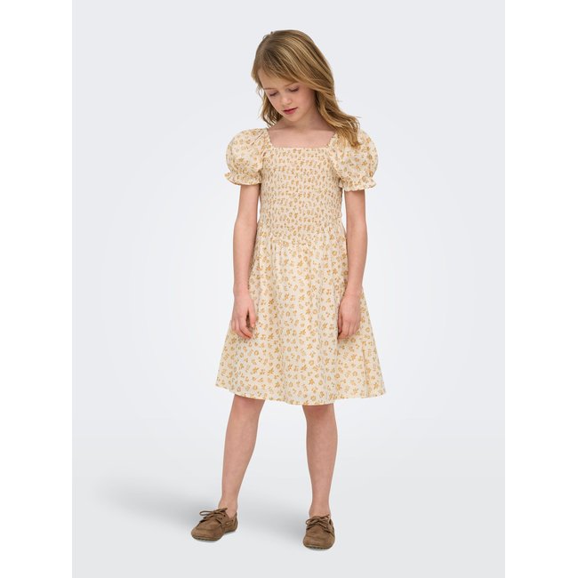 Robe Smockée cloud dancer <span itemprop=