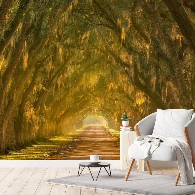 Papier peint panoramique allee d arbres Couleur intissé <span itemprop=