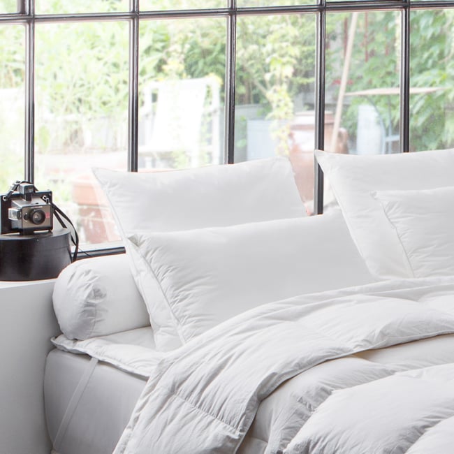 Oreiller naturel 90% duvet de Canard Couleur blanc <span itemprop=